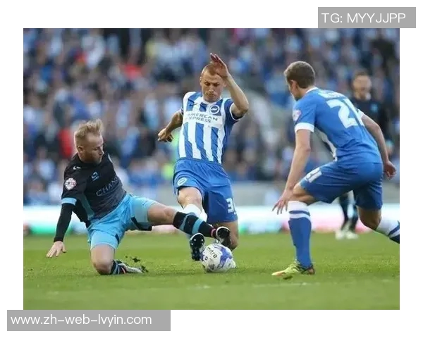 金泽队与爱媛队激战在即谁能在这场较量中脱颖而出