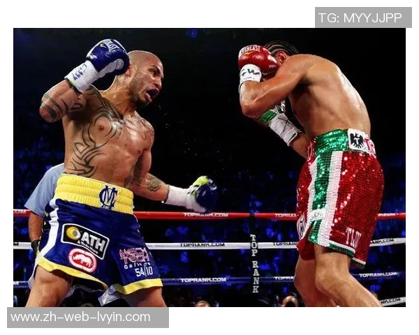 库托与哈顿精彩对决视频回顾分析揭示拳击技巧与战术较量 库托与哈顿精彩对决视频回顾分析揭示拳击技巧与战术较量